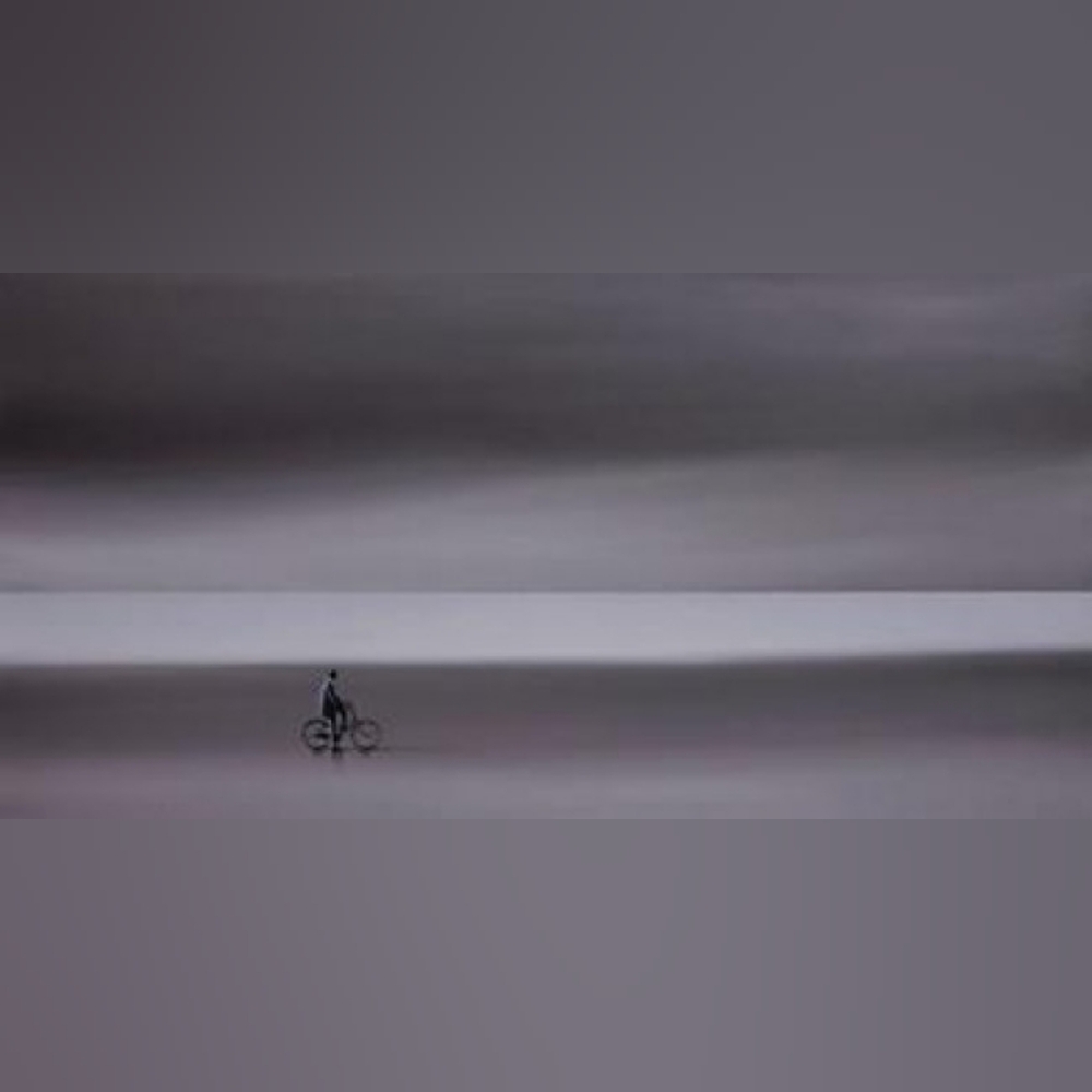 Unframed Print "Mr Jones On His Bicycle" By Steve Johnston